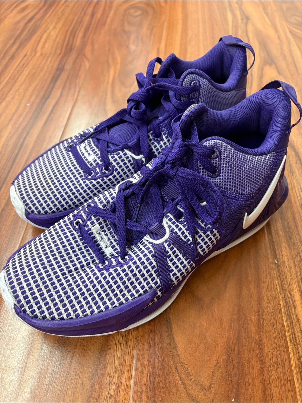 Nike Lebron Witness 7 TB Sneakers Mens 10.5